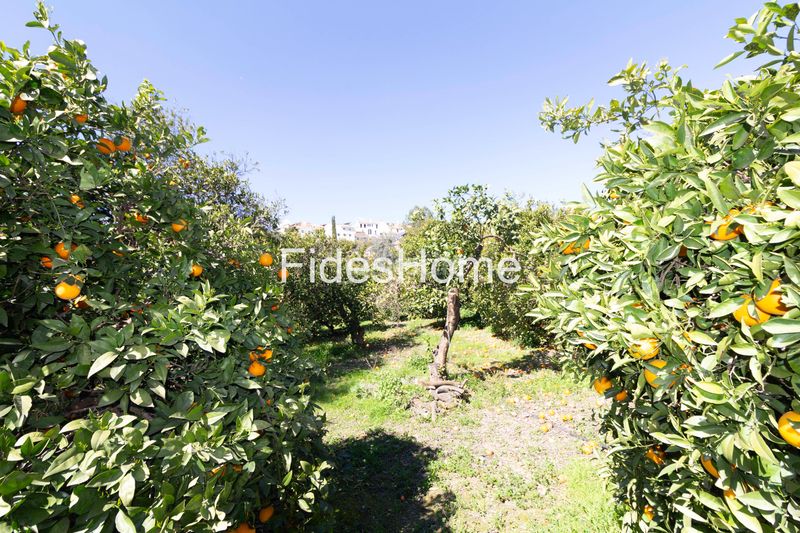 Foto 4b796957-164f-4f2b-95a0-4c5ed307c754. Finca rústica a calle baja 14 a Lecrín
