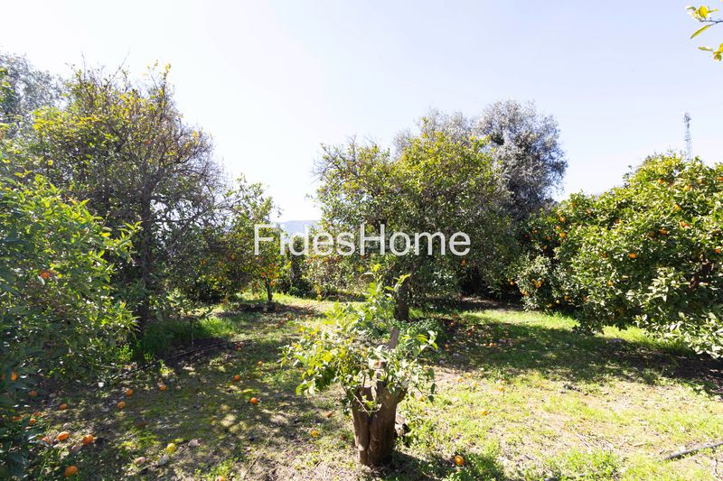 Foto 5fbe9111-3545-431e-a2ba-cb53e5d52a39. Finca rústica a calle baja 14 a Lecrín