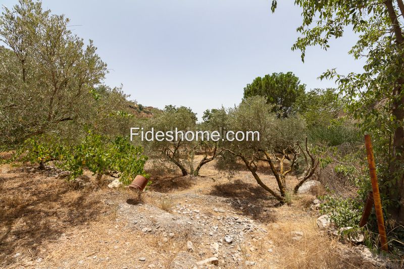 Foto b46b0358-6811-4a86-998a-aaa7ca59f949. Finca rústica a calle larga 36 a Lecrín