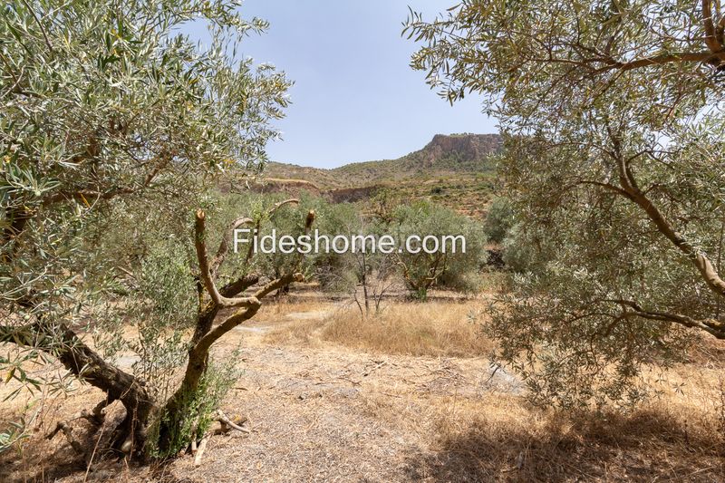 Foto db5e96fc-4a90-4298-9a36-b708e54ab4d5. Finca rústica a calle larga 36 a Lecrín