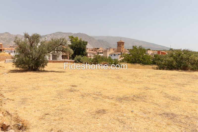Foto a7c042ba-f5ae-4930-b6eb-f9b1495528a5. Finca rústica a nueva 1 a Villamena