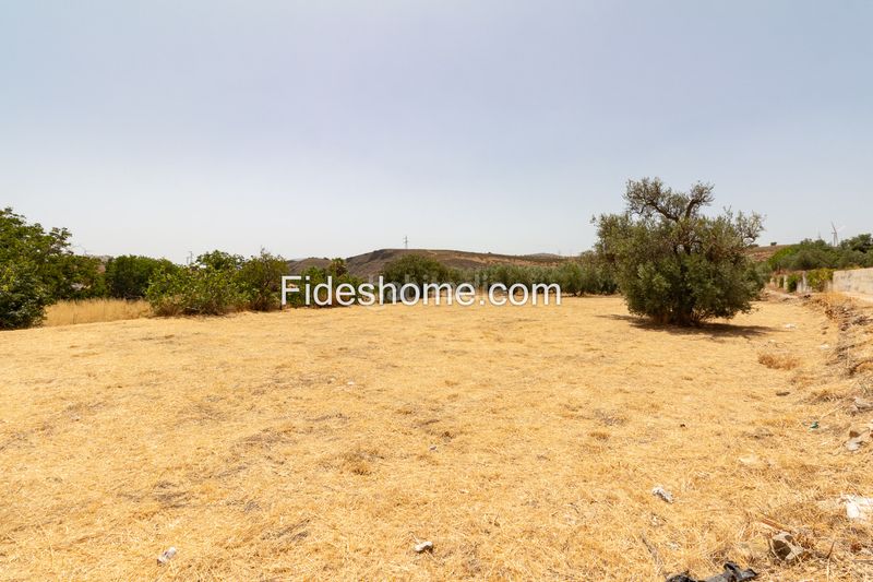 Foto e70d6463-8c6e-4fec-afd1-2713a3267167. Finca rústica a nueva 1 a Villamena