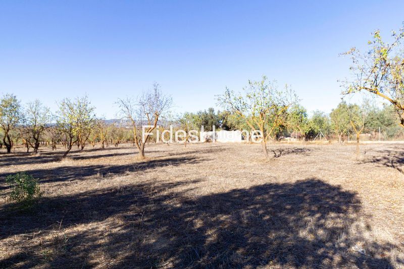 Foto e997bd8a-16de-43ce-8ea6-d0da1425af76. Rural plot in xfc2+95p acequias 0 in Nigüelas