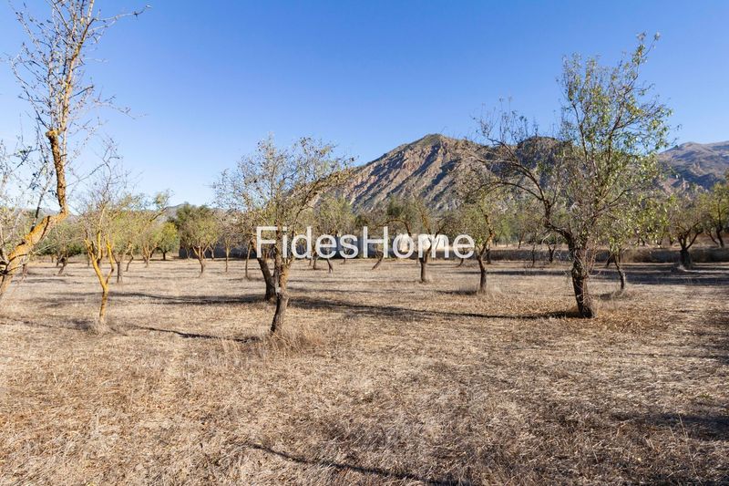 Foto ed109131-0968-4fc0-913d-ae7a016ac8a8. Rural plot in xfc2+95p acequias 0 in Nigüelas