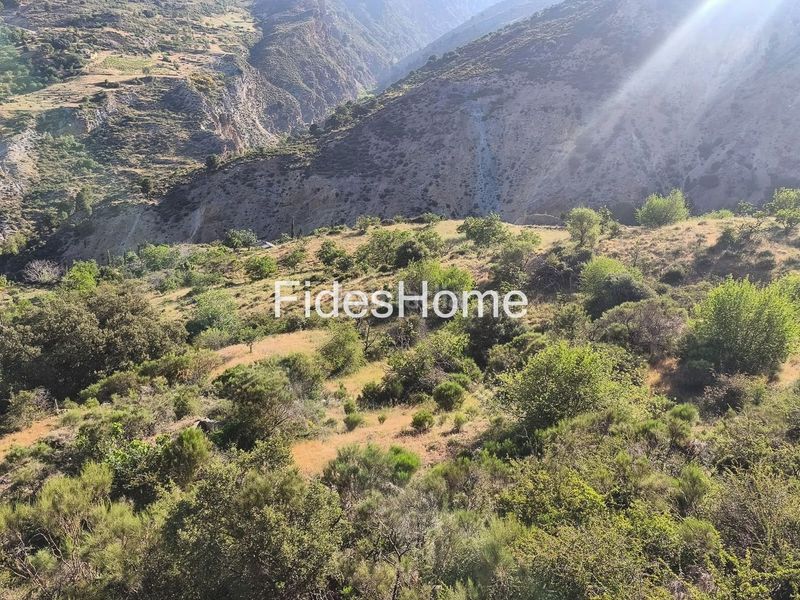 Foto 0a1d0d9b-dcb2-4480-ac6e-f1a13dcdd99e. Rural plot in xfpp+9qx Nigüelas 0 in Nigüelas
