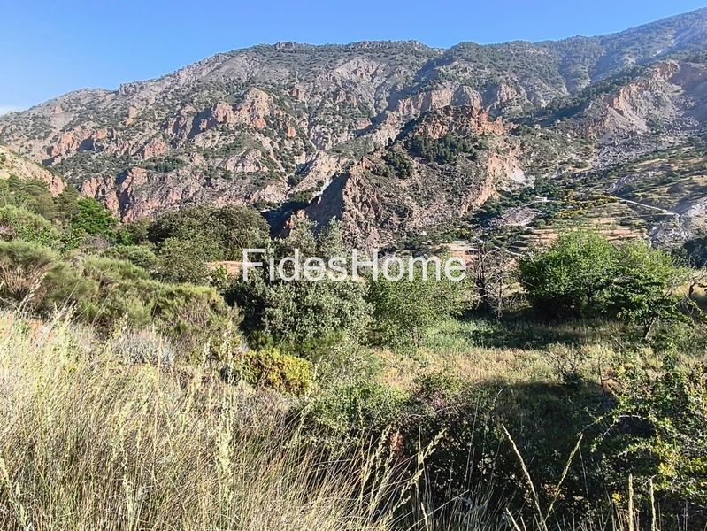 Foto 2b77b63b-dfe4-47b4-9a62-558ac5f525f0. Rural plot in xfpp+9qx Nigüelas 0 in Nigüelas