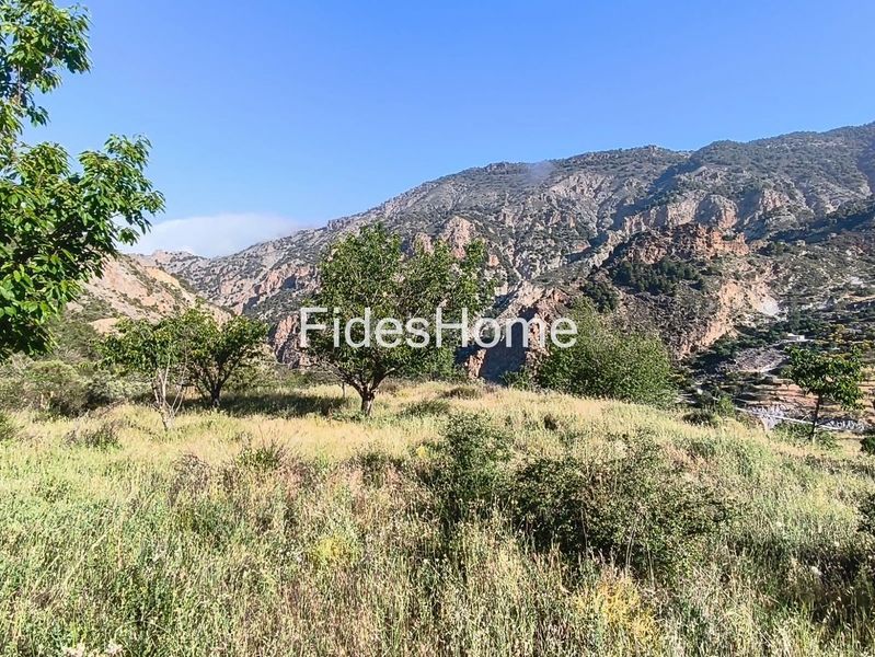 Foto 33e64186-7b73-4297-a924-e49d5fc089f1. Rural plot in xfpp+9qx Nigüelas 0 in Nigüelas