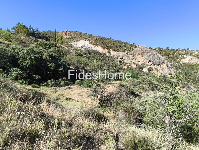 Foto 53a7fbe4-b3fb-4520-81c0-47aac70d8868. Rural plot in xfpp+9qx Nigüelas 0 in Nigüelas