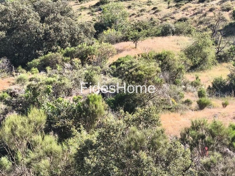 Foto 56b9b9ac-36d8-47a4-9b22-89b30003b41e. Rural plot in xfpp+9qx Nigüelas 0 in Nigüelas