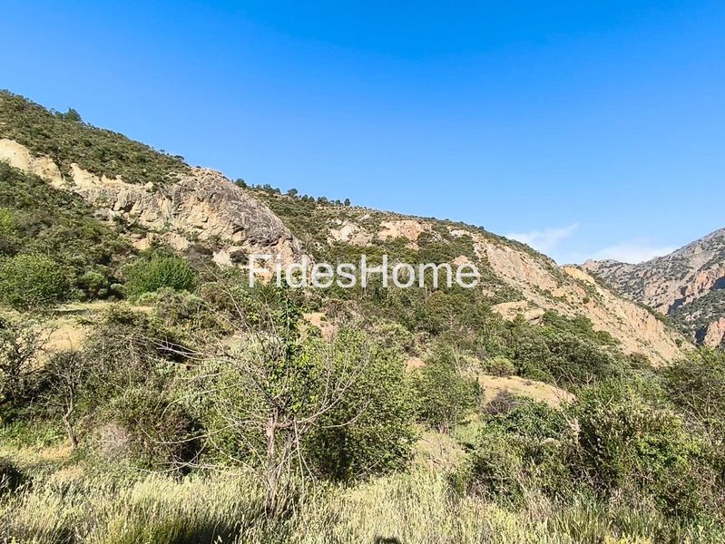 Foto 5f1263a2-f405-4051-b6e5-569943c9c77f. Rural plot in xfpp+9qx Nigüelas 0 in Nigüelas
