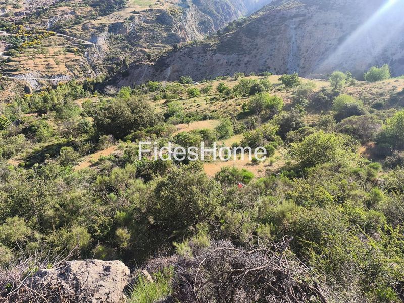 Foto 5fd2891f-8abc-47de-b395-00a5b1d34023. Rural plot in xfpp+9qx Nigüelas 0 in Nigüelas