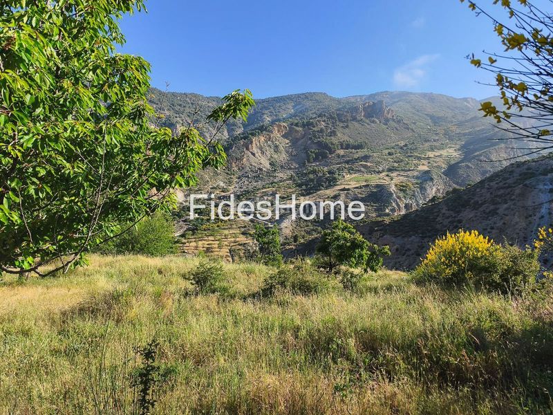 Foto 6b91654b-55f9-4955-9246-fcedcc89fa28. Rural plot in xfpp+9qx Nigüelas 0 in Nigüelas