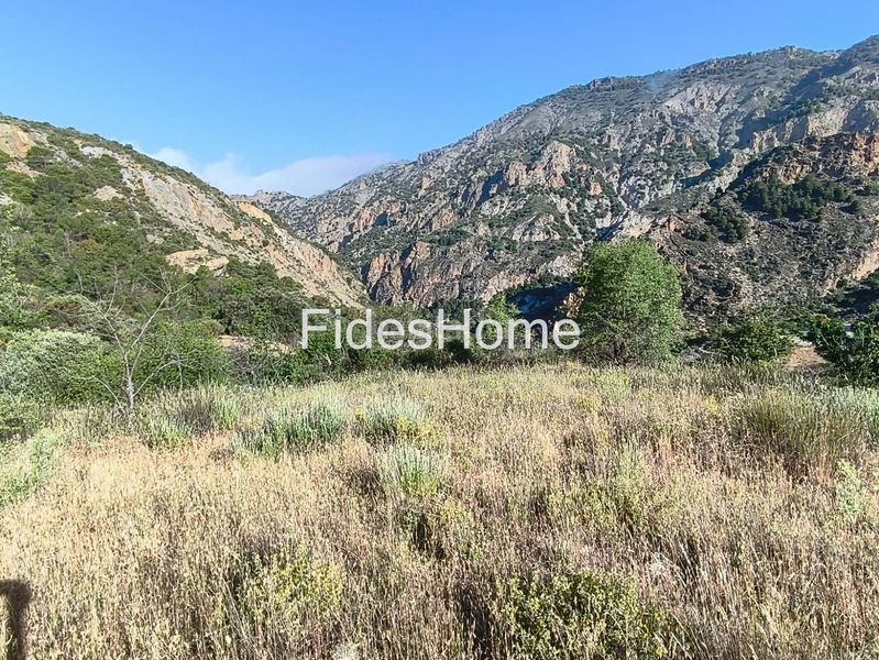 Foto 70eefc09-91c5-48a7-8a82-d1b8d2530f76. Rural plot in xfpp+9qx Nigüelas 0 in Nigüelas