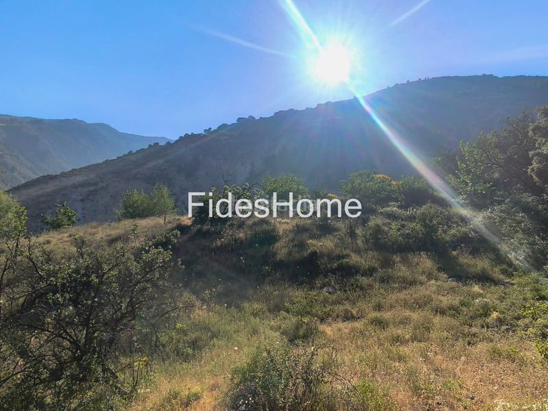 Foto c312e3bc-d42f-4874-bc54-6dbd594875a9. Rural plot in xfpp+9qx Nigüelas 0 in Nigüelas