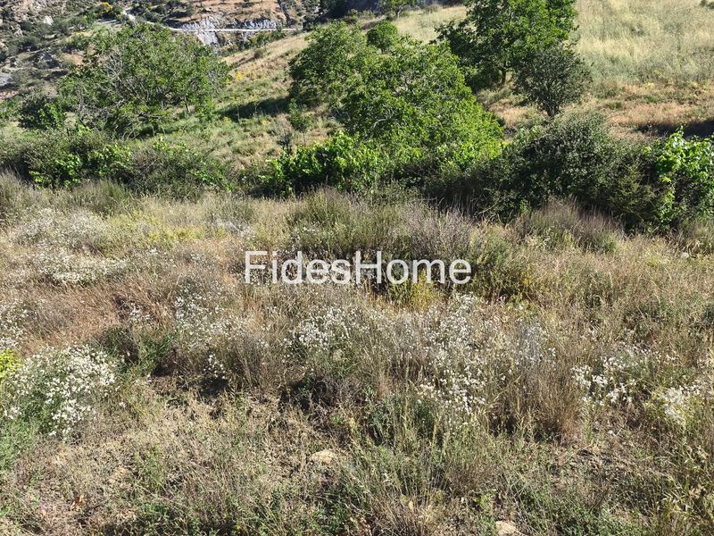 Foto e07d1308-3b69-4921-86db-2992e94c79cb. Rural plot in xfpp+9qx Nigüelas 0 in Nigüelas