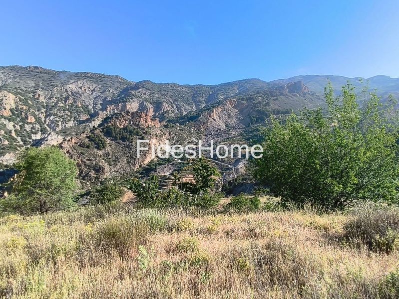 Foto e0bdb2a5-ae8f-47e5-b7ba-2e4568dee0d5. Rural plot in xfpp+9qx Nigüelas 0 in Nigüelas