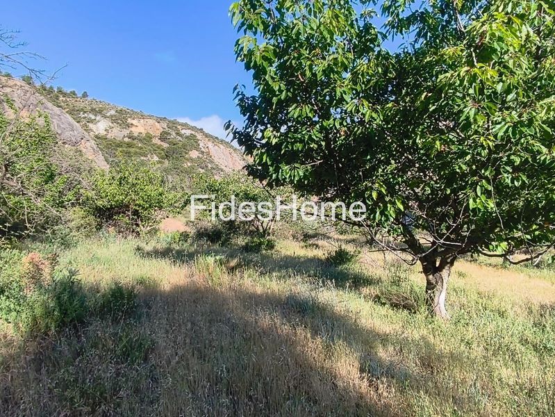 Foto ef2afbf1-93c5-40c1-a4da-d6baf25fb7f9. Rural plot in xfpp+9qx Nigüelas 0 in Nigüelas