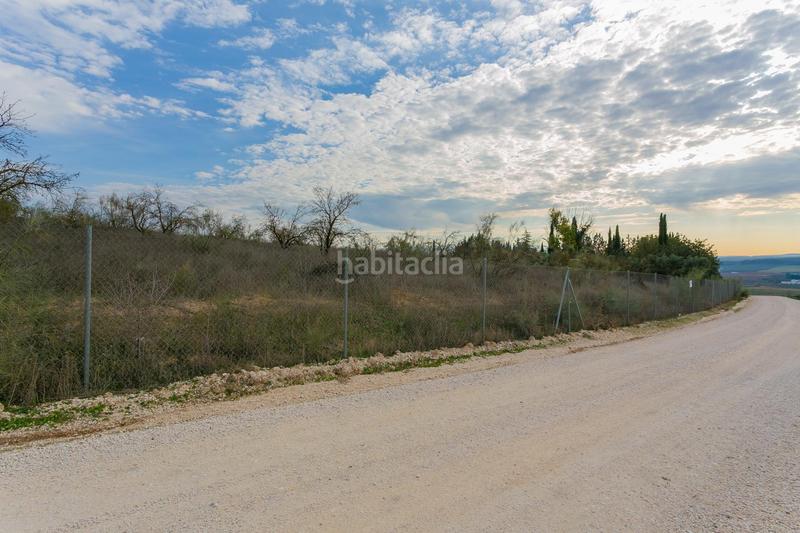 Foto 08830039-2b8a-4208-a2dd-346df1681d88. Rural plot in Pinos Puente