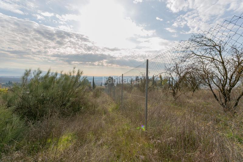 Foto 08b22920-da13-4334-baf3-d818883937c0. Rural plot in Pinos Puente