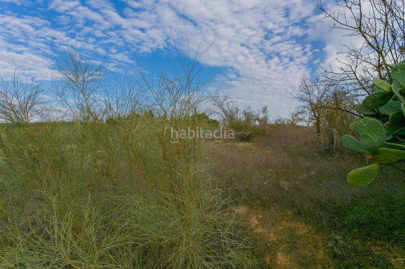 Foto 3f4c213f-9ea1-4fa7-b9bd-ef1e8c473ea7. Rural plot in Pinos Puente