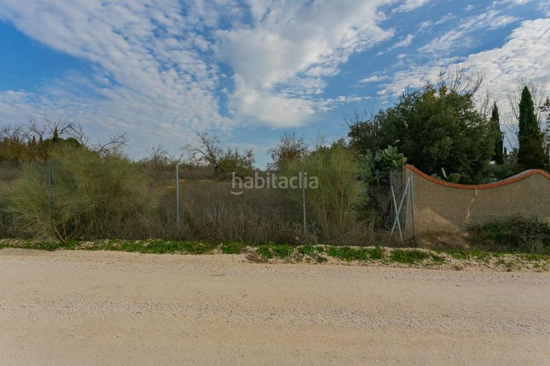Foto 4ed8f5eb-f272-4ef1-91b8-1b975ef068a0. Rural plot in Pinos Puente