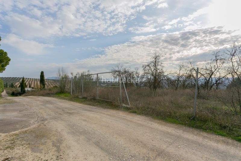 Foto 58cd4f49-18b2-4623-a3b1-bd9c35945afb. Rural plot in Pinos Puente