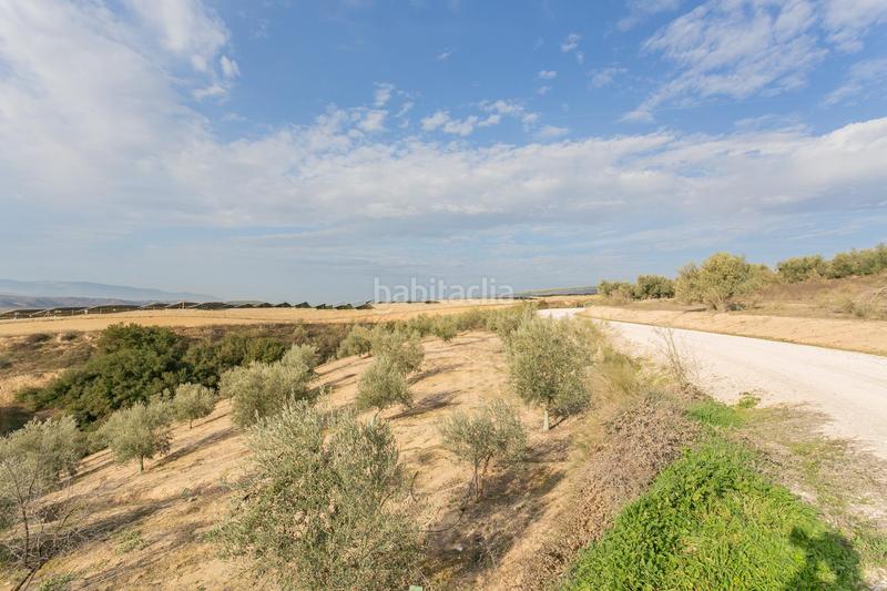 Foto 69705fa9-4d98-45b5-b79b-b95d6c5a6aba. Rural plot in Pinos Puente