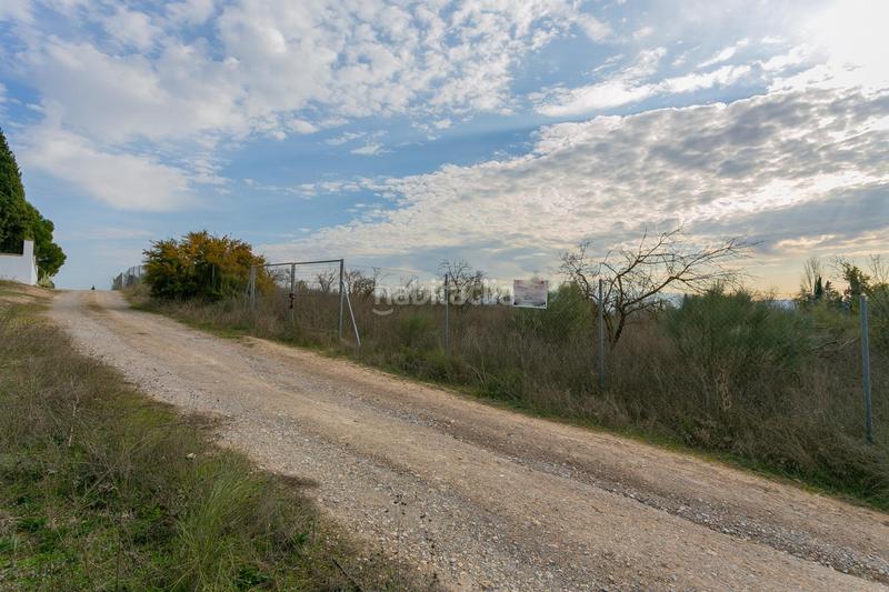 Foto 7f70f62f-8a1b-4760-97a3-27ecaa4d0f4a. Rural plot in Pinos Puente