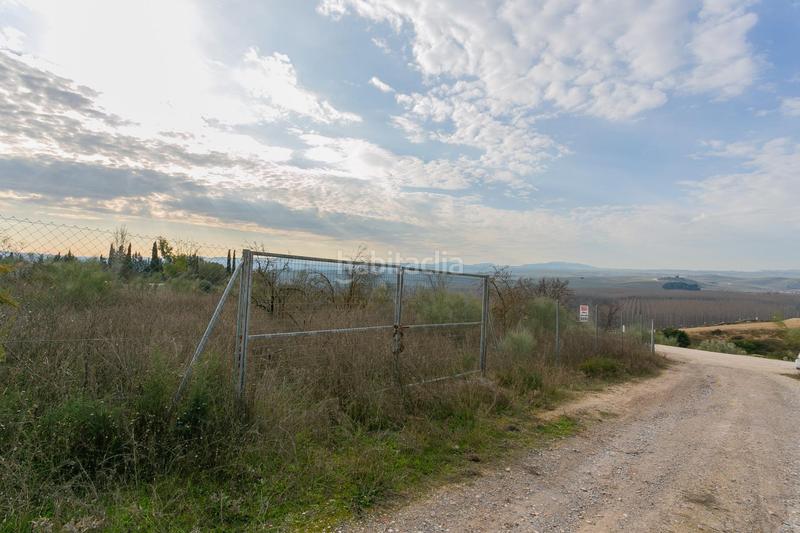 Foto a5a3f134-5ed4-4679-8a04-4cc143548986. Rural plot in Pinos Puente