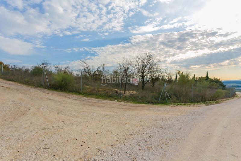 Foto c3d0dee7-0b1c-4488-82a5-07d61e5417d9. Rural plot in Pinos Puente