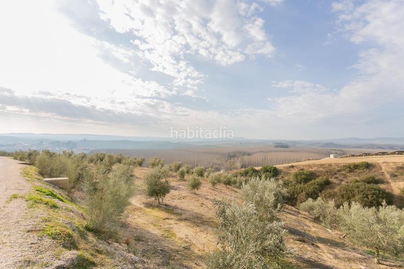 Foto c6572fa4-928d-4c65-a085-bfa78b00ea2c. Rural plot in Pinos Puente