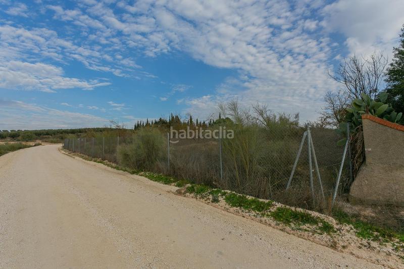 Foto c773963b-23ba-4e68-88dc-c665da8485ee. Rural plot in Pinos Puente
