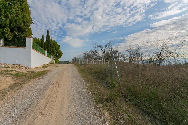 Foto cdffe7d8-3acb-4374-9779-d49c2ff13a7c. Rural plot in Pinos Puente