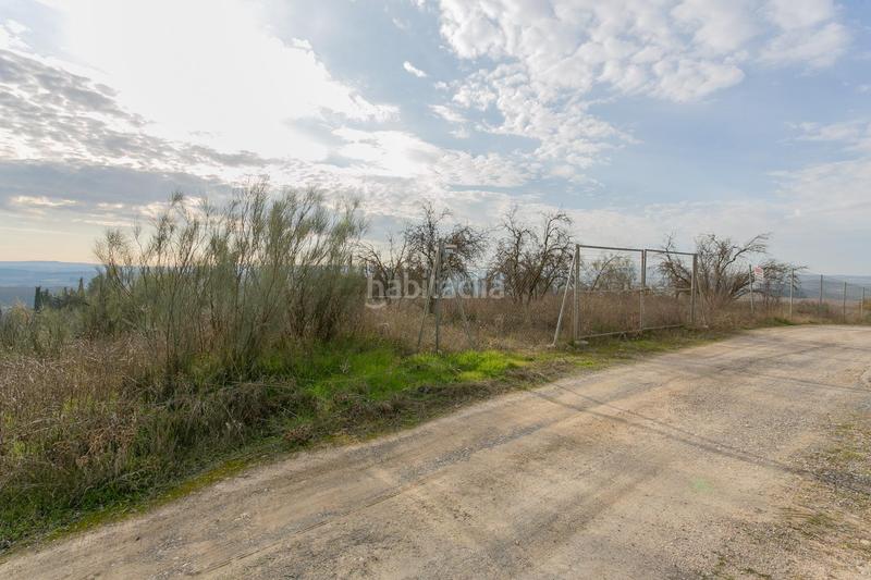 Foto d0235780-fe1d-4316-9df4-b7d268a64eee. Rural plot in Pinos Puente