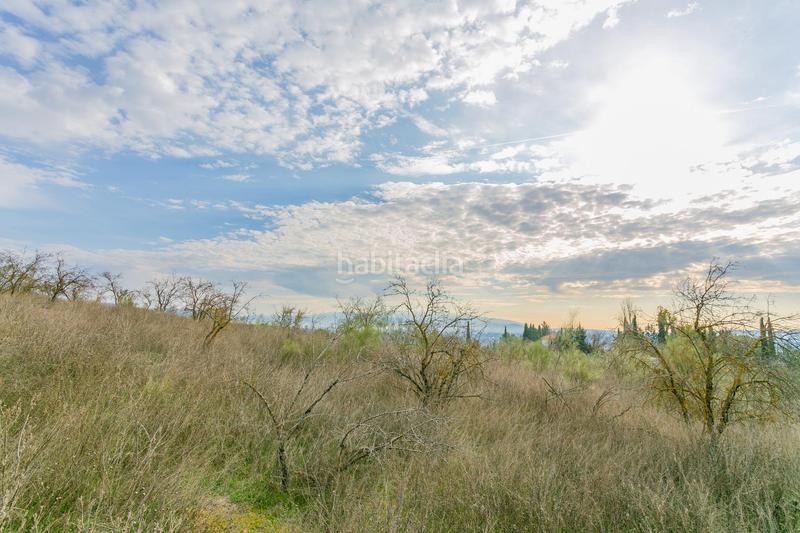 Foto ef8caa2c-e1a9-4fe6-b14a-10536540f83f. Rural plot in Pinos Puente