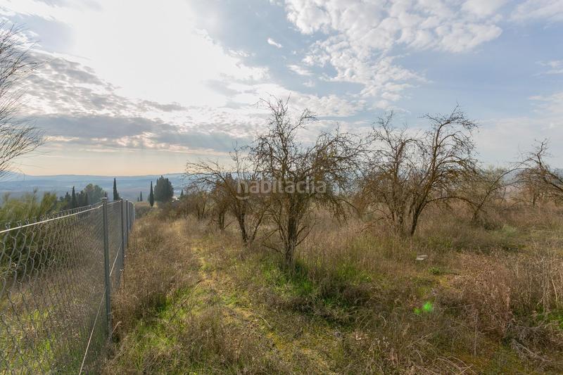 Foto f4f9cd28-4e2e-49aa-8902-aae33ac6bc11. Rural plot in Pinos Puente