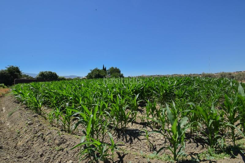 Foto 9487d29c-1e3d-40b3-ad35-d43ca179e832. Masía fincas rusticas de 5 y 6 marjales en Cúllar Vega