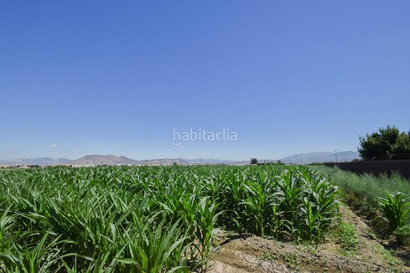 Foto a5afea71-3876-44aa-8455-0c7bf16afe3c. Masía fincas rusticas de 5 y 6 marjales en Cúllar Vega