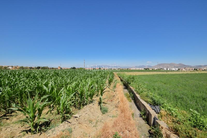 Foto b23e1774-4262-4ab3-a66b-9b91c1c032a1. Masía fincas rusticas de 5 y 6 marjales en Cúllar Vega
