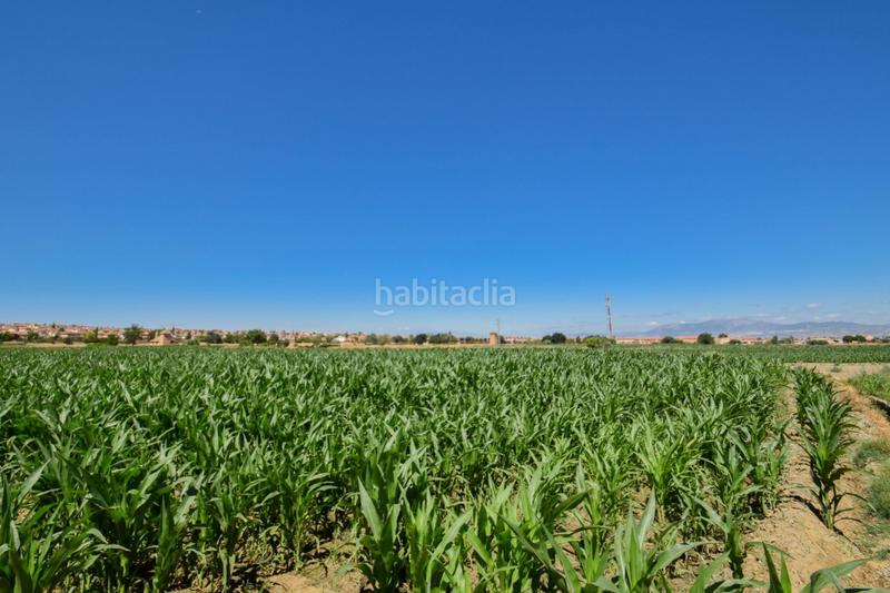 Foto b8959658-082a-4695-b6cb-32c42a1de48b. Masía fincas rusticas de 5 y 6 marjales en Cúllar Vega