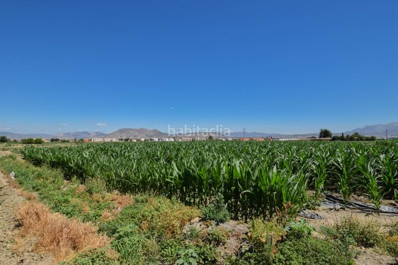 Foto e65bca27-b8ab-4503-8f6e-0a9cfe3e804b. Masía fincas rusticas de 5 y 6 marjales en Cúllar Vega