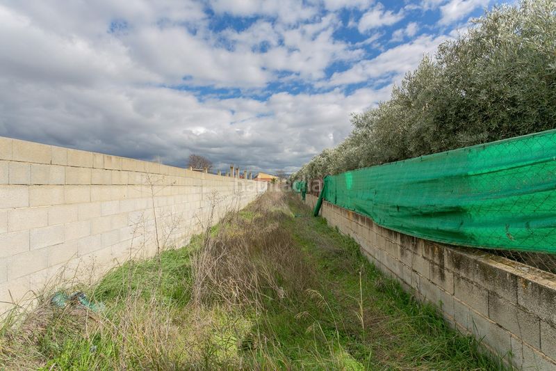 Foto 20e2c902-153d-423e-8655-2f848344b363. Finca rústica a Híjar Gabias (Las)