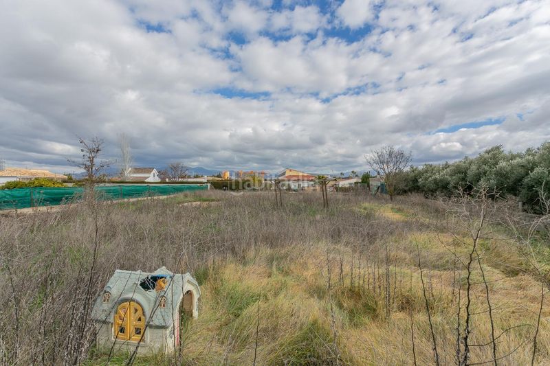 Foto 73f8314e-e999-478b-8018-9d653777d43c. Finca rústica a Híjar Gabias (Las)