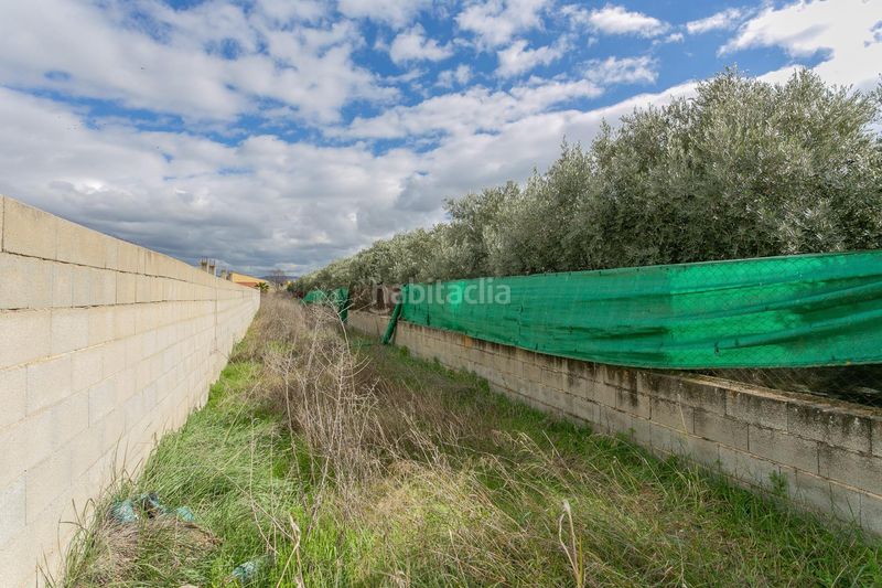 Foto 74f24c74-c55f-47d6-98bf-7cbeb2b0ec6a. Finca rústica a Híjar Gabias (Las)