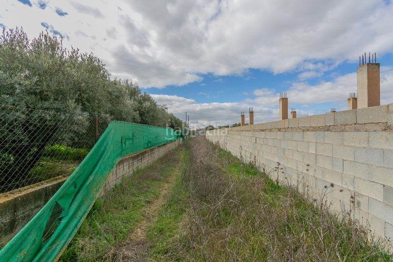 Foto 854b29be-95df-49f0-9426-9526e0fe66ab. Finca rústica a Híjar Gabias (Las)