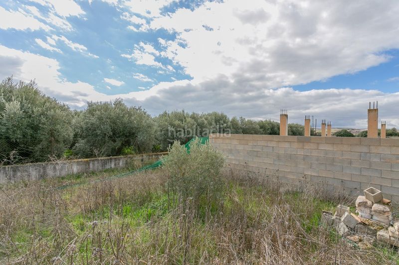 Foto cd4249b9-372b-450a-a6b2-d2455558a05e. Finca rústica a Híjar Gabias (Las)