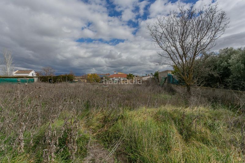 Foto e0db1944-7677-4f5a-b2f6-8fada55f1a01. Finca rústica a Híjar Gabias (Las)