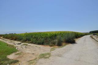 Mas à Belicena. Finca rustica de riego en belicena