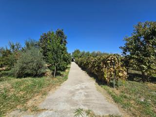 Finca rústica en Purchil. Parcela de árboles frutales