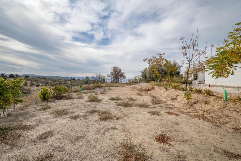 Foto 2c27ce9c-9978-4d00-a5bb-0fbbcce55a0d. Xalet amb aparcament a Alfacar